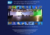 Animals on Blue – Email Marketing